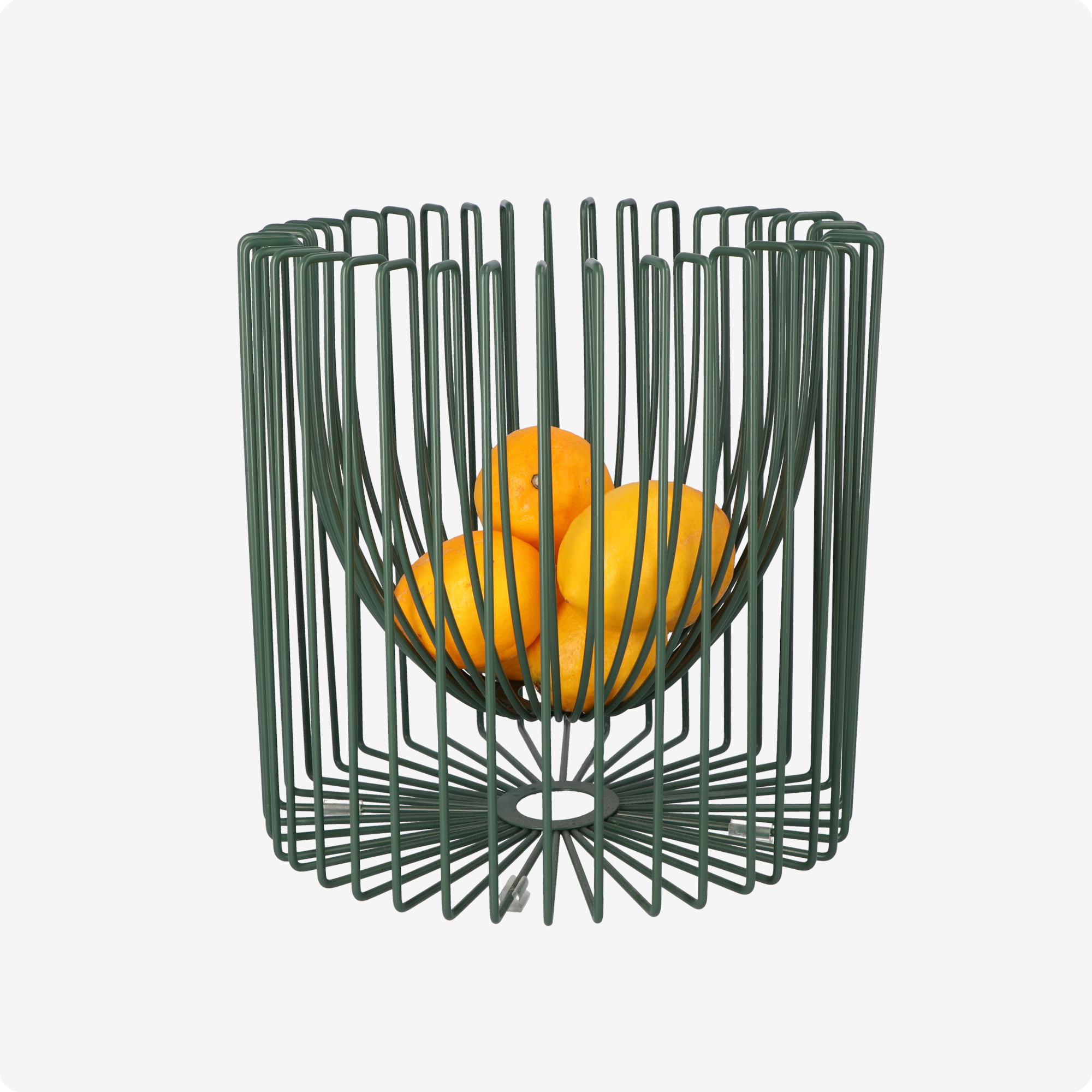 Green Wire basket with lemons product shot example